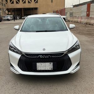 Dongfeng Aeolus 2022